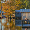 Exploring the Great Outdoors: Camps in Northwest Louisiana